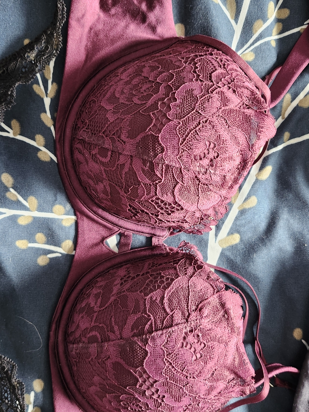 La SENZA Burgundy Lace Push-Up Bra